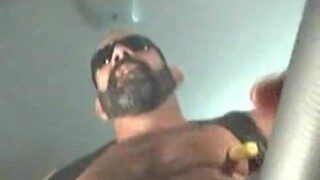 Verbal bear compilation